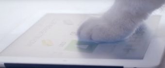 4 étapes pour gagner de l’argent en bourse ou comment réussir dans le trading